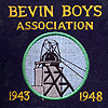 Bevin Boys Association badgeGallery